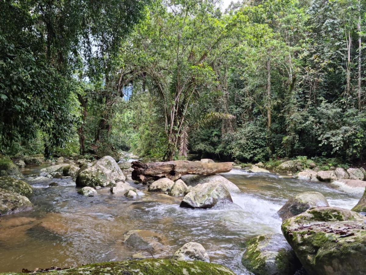 Recanto Da Margo 1, Casa Com Acesso A Cachoeira Парати Экстерьер фото