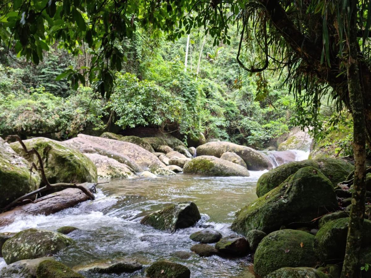Recanto Da Margo 1, Casa Com Acesso A Cachoeira Парати Экстерьер фото