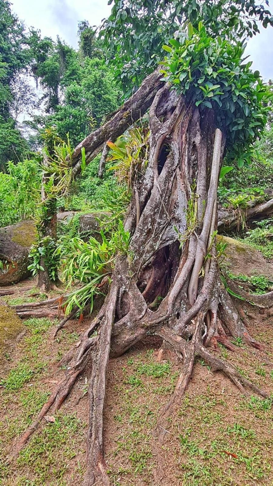 Recanto Da Margo 1, Casa Com Acesso A Cachoeira Парати Экстерьер фото
