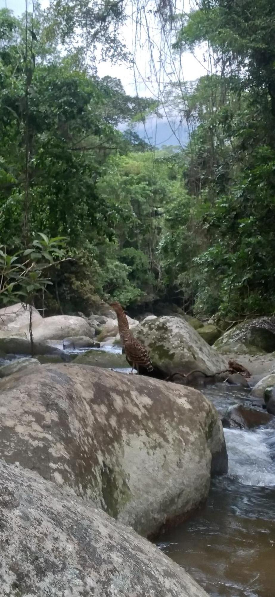 Recanto Da Margo 1, Casa Com Acesso A Cachoeira Парати Экстерьер фото
