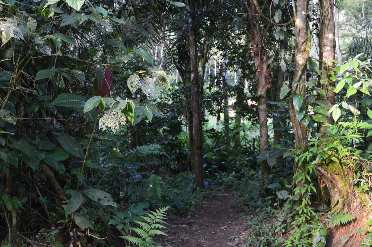 Recanto Da Margo 1, Casa Com Acesso A Cachoeira Парати Экстерьер фото